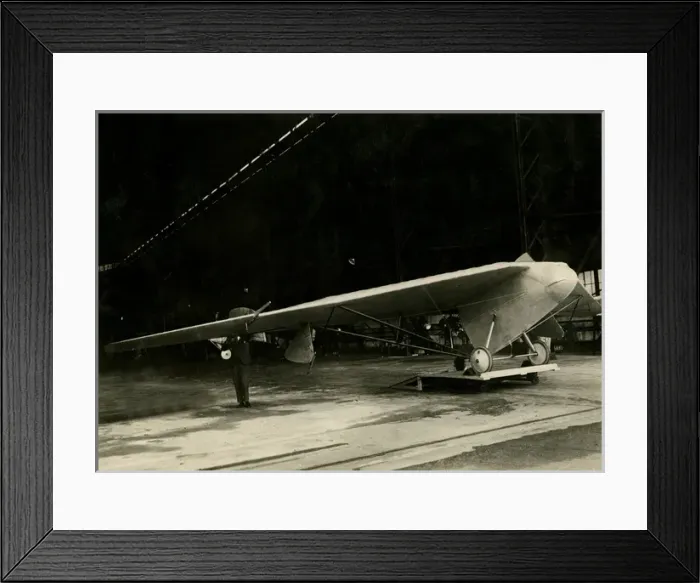 Framed Print : Westland Pterodactyl 2 Framed Print : Westland Pterodactyl 2