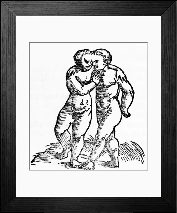 Framed Print : Siamese Twins / Munster Framed Print : Siamese Twins / Munster
