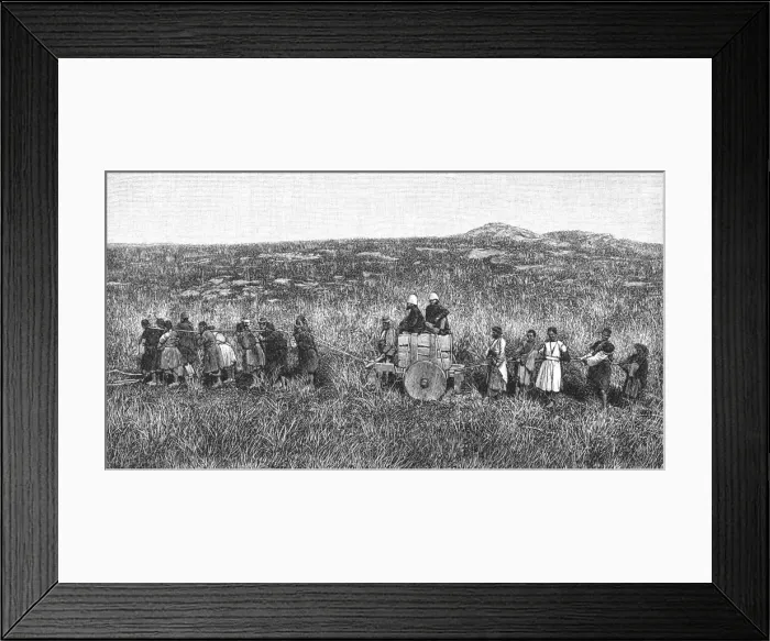 Framed Print : Iran / Archaeology / Susa Framed Print : Iran / Archaeology / Susa