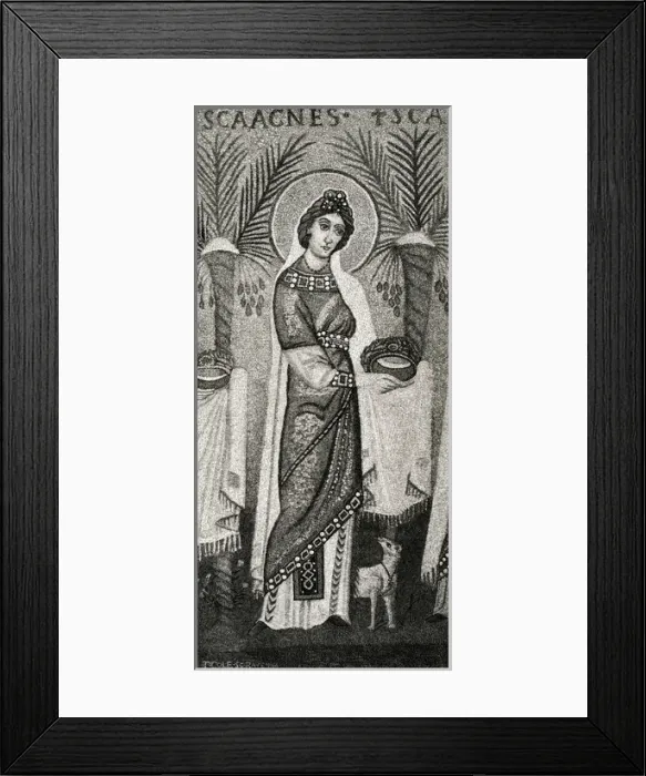 Framed Print : Saint Agnes / Cole Ravenna Framed Print : Saint Agnes / Cole Ravenna