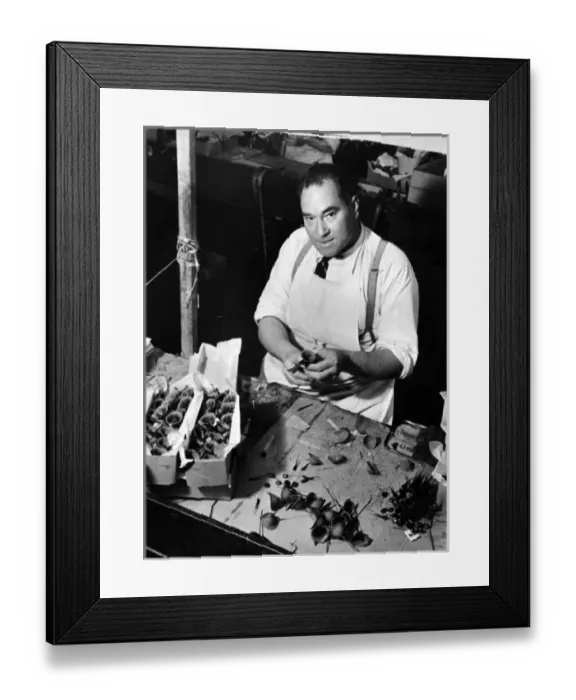 Framed Print : Making Remembrance Poppy Framed Print : Making Remembrance Poppy