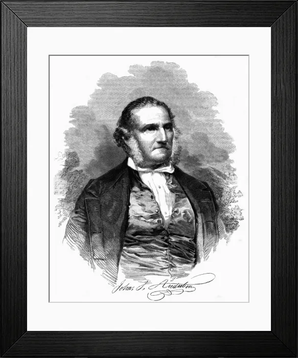Framed Print : John Audubon / Anelay Framed Print : John Audubon / Anelay