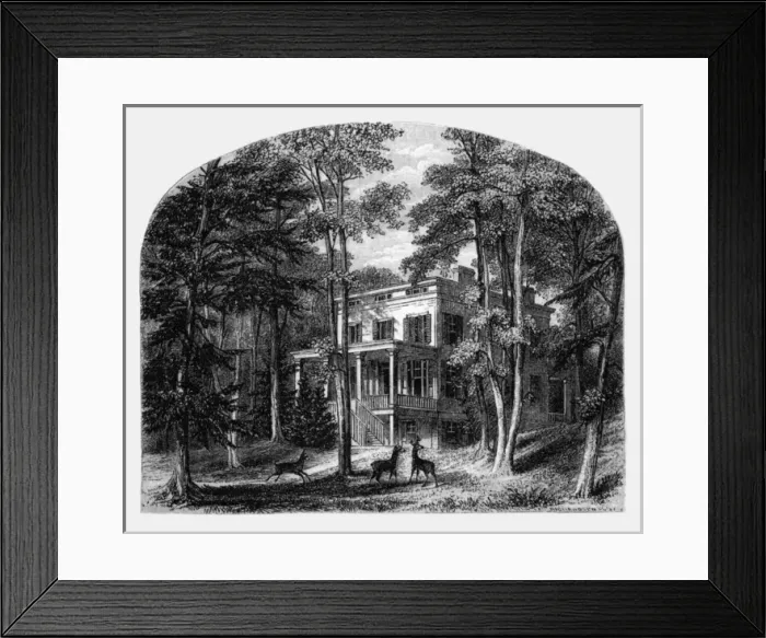 Framed Print : John Audubon / Home Framed Print : John Audubon / Home