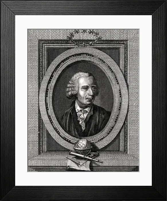 Framed Print : Euler / Cook / Handmann Framed Print : Euler / Cook / Handmann