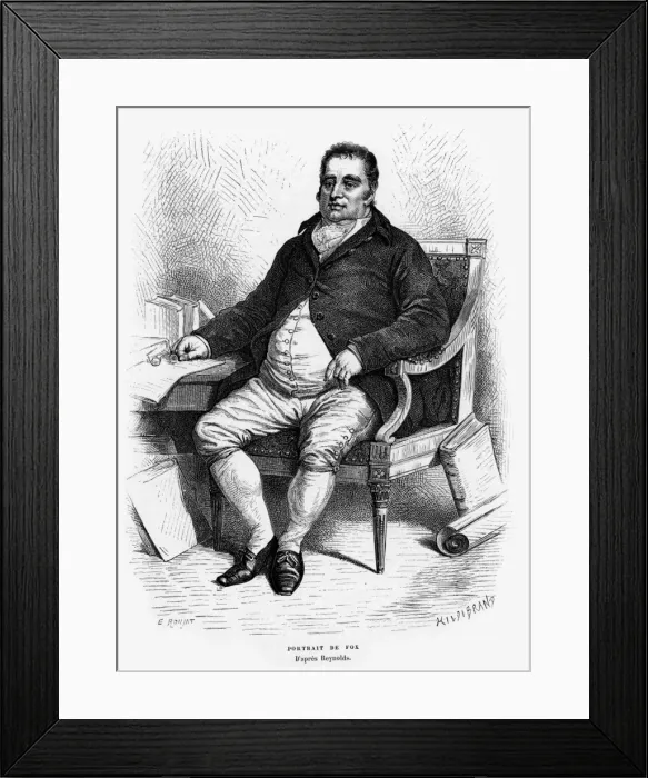 Framed Print : Cj Fox / Hildibrand / Ronjat Framed Print : Cj Fox / Hildibrand / Ronjat