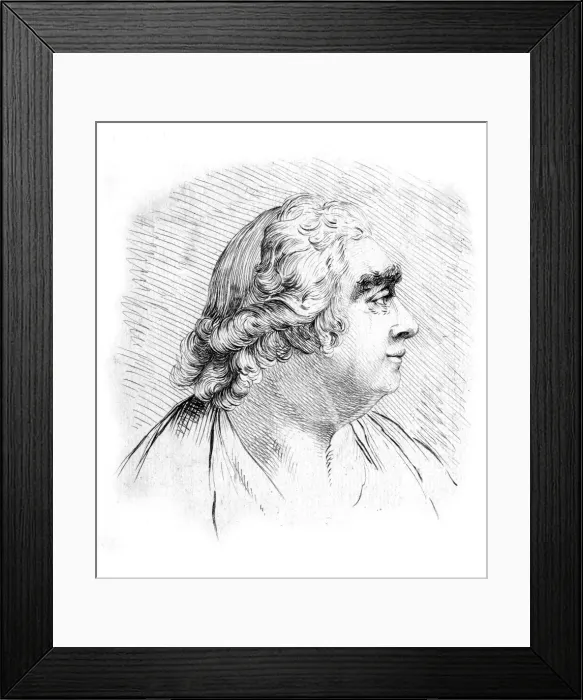Framed Print : Cj Fox / Wilkinson Bust Framed Print : Cj Fox / Wilkinson Bust