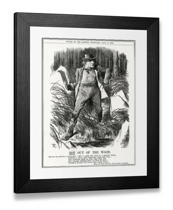 Framed Print : We Gladstone  /  Thorny Wood