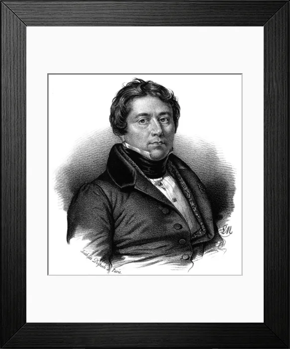 Framed Print : Ingres / Delpech Framed Print : Ingres / Delpech
