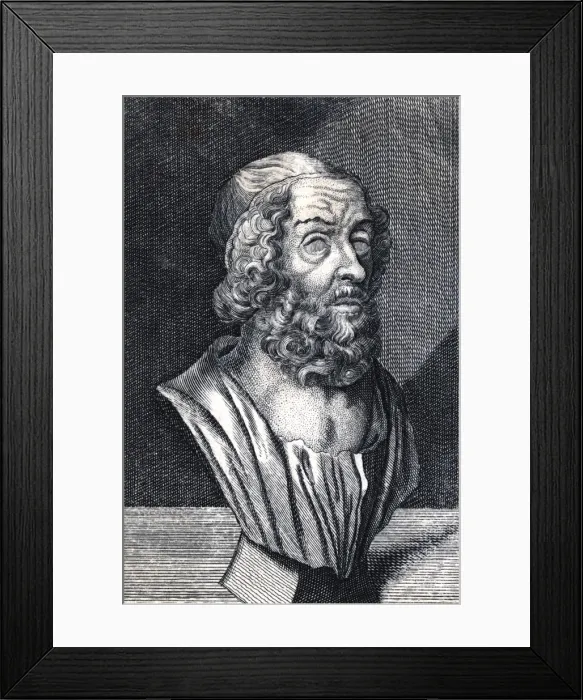 Framed Print : Homer / Bust / Simms Framed Print : Homer / Bust / Simms