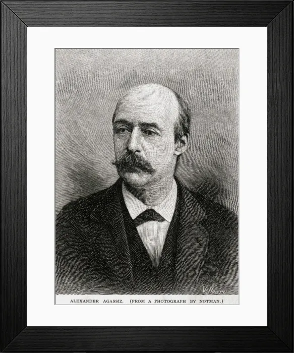 Framed Print : Alexander Agassiz Framed Print : Alexander Agassiz