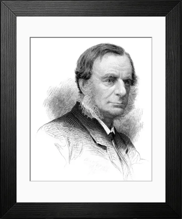 Framed Print : Chas Kingsley / Ch Jeens Framed Print : Chas Kingsley / Ch Jeens