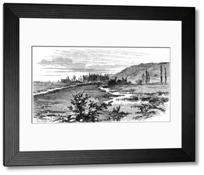 Framed Print : Joan of Arc / Chesnu Wood Framed Print : Joan of Arc / Chesnu Wood