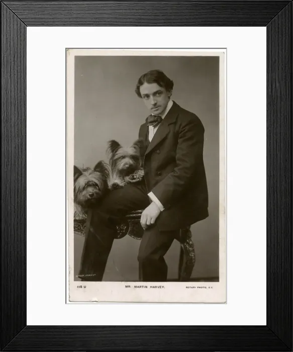 Framed Print : Martin Harvey Framed Print : Martin Harvey