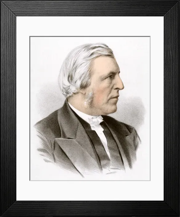 Framed Print : Henry Allon (Colour) Framed Print : Henry Allon (Colour)
