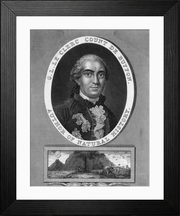 Framed Print : Buffon / Romney / Meyron Framed Print : Buffon / Romney / Meyron