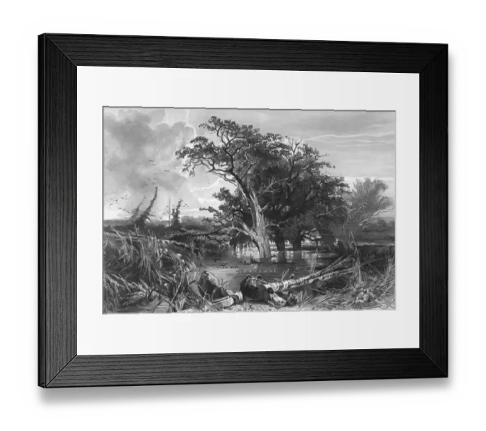 Framed Print : Netherlands / Prehistoric Framed Print : Netherlands / Prehistoric