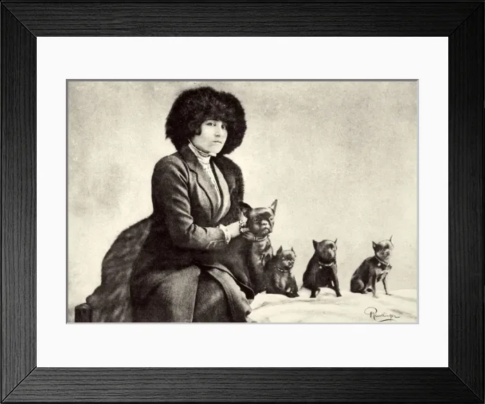 Framed Print : Colette / Postcard / Dogs Framed Print : Colette / Postcard / Dogs