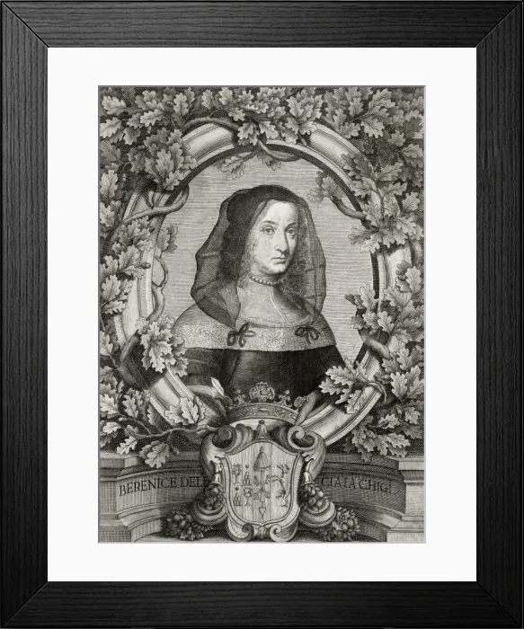 Framed Print : Berenice Chigi Framed Print : Berenice Chigi