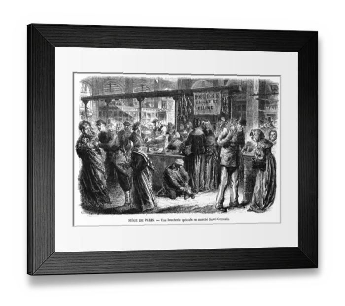 Framed Print : Canine. Feline Butcher Framed Print : Canine. Feline Butcher