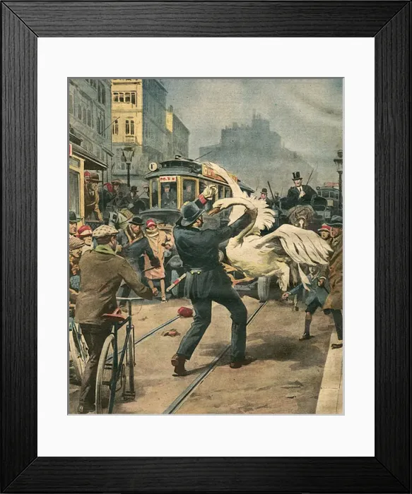 Framed Print : Anna Pavlova / Popolo Swan Framed Print : Anna Pavlova / Popolo Swan