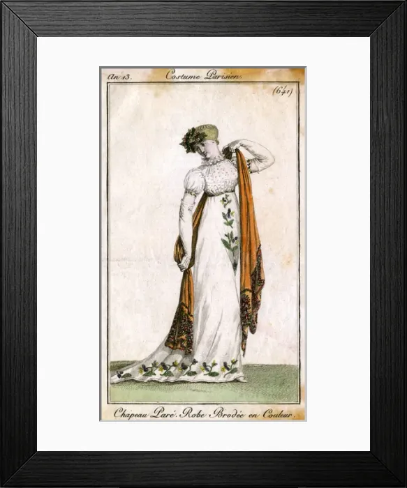 Framed Print : Embroidered Gown 1805 Framed Print : Embroidered Gown 1805