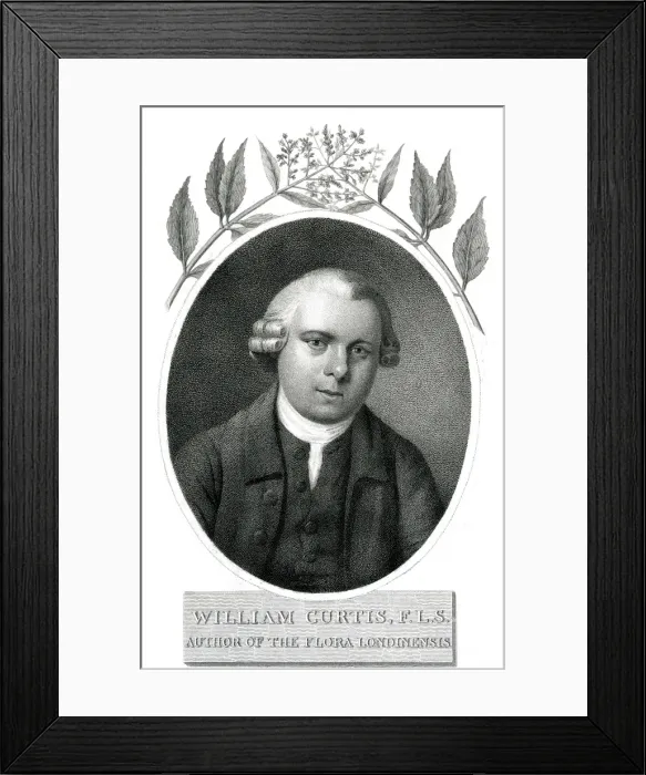 Framed Print : William Curtis, Botanist Framed Print : William Curtis, Botanist