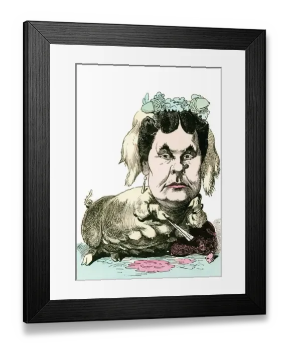 Framed Print : Mathilde Bonaparte Framed Print : Mathilde Bonaparte