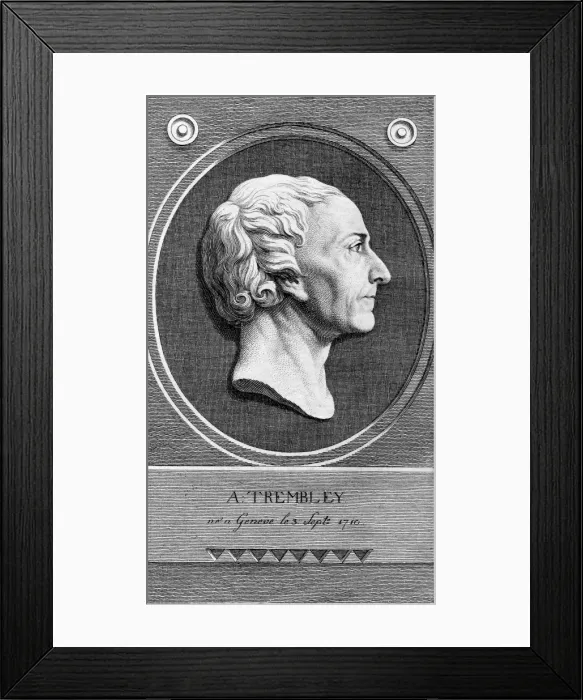 Framed Print : Abraham Trembeley - Clemens Framed Print : Abraham Trembeley - Clemens