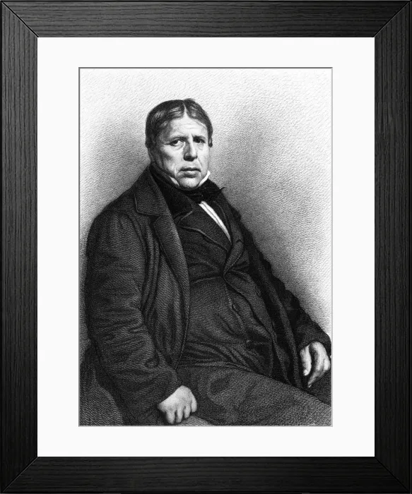 Framed Print : Ingres (Masson) Framed Print : Ingres (Masson)