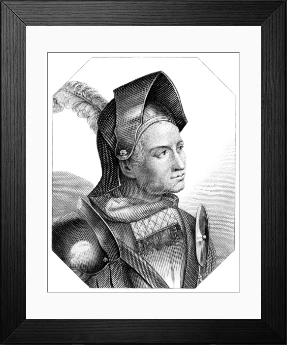 Framed Print : Franz von Sickingen Framed Print : Franz von Sickingen