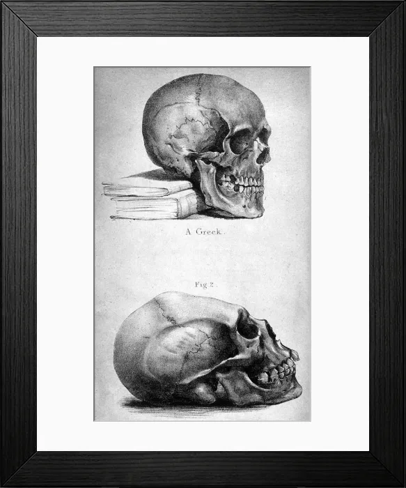 Framed Print : SKULLS / 1841 Framed Print : SKULLS / 1841