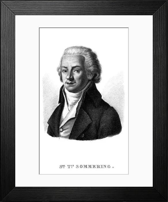 Framed Print : Samuel Sommering - Eng Framed Print : Samuel Sommering - Eng