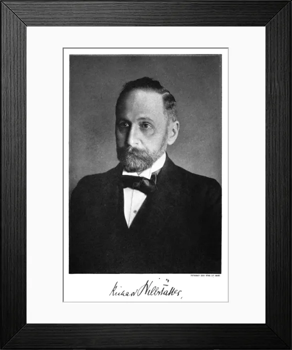 Framed Print : R Willstatter / Nobel 1915 Framed Print : R Willstatter / Nobel 1915
