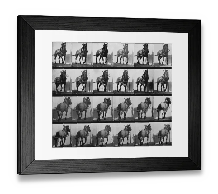 Framed Print : Muybridge - Cart Horse Framed Print : Muybridge - Cart Horse
