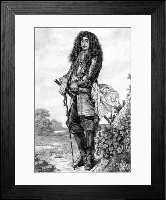Framed Print : Cesar Phebus D albret Framed Print : Cesar Phebus D albret