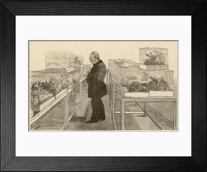 Framed Print : Louis Pasteur / Iln 1884 Framed Print : Louis Pasteur / Iln 1884