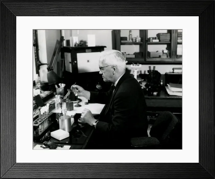 Framed Print : Fleming in his Lab 1952 Framed Print : Fleming in his Lab 1952