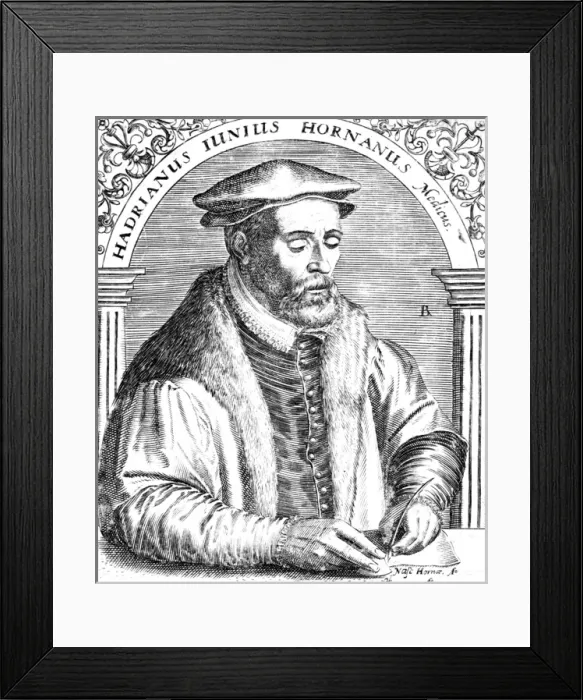Framed Print : Adrian Junius Framed Print : Adrian Junius