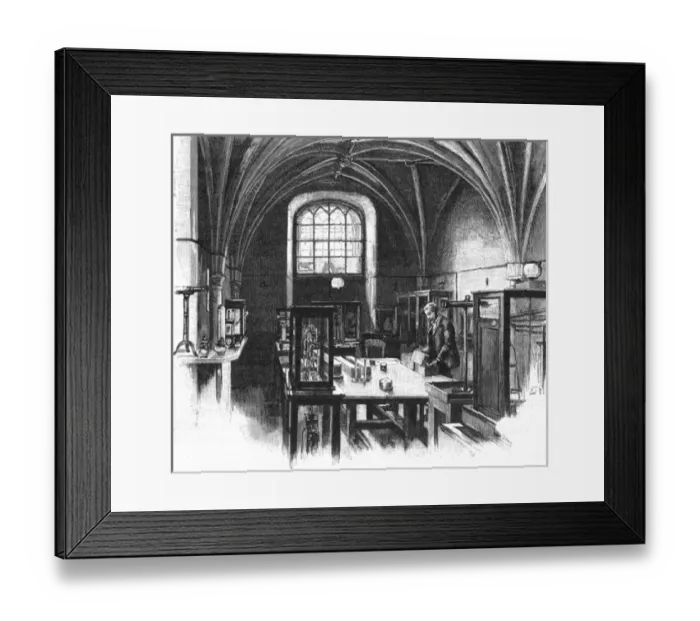 Framed Print : Westminster Weights 1892 Framed Print : Westminster Weights 1892
