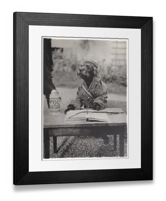 Framed Print : Dog Dressed as Student Framed Print : Dog Dressed as Student