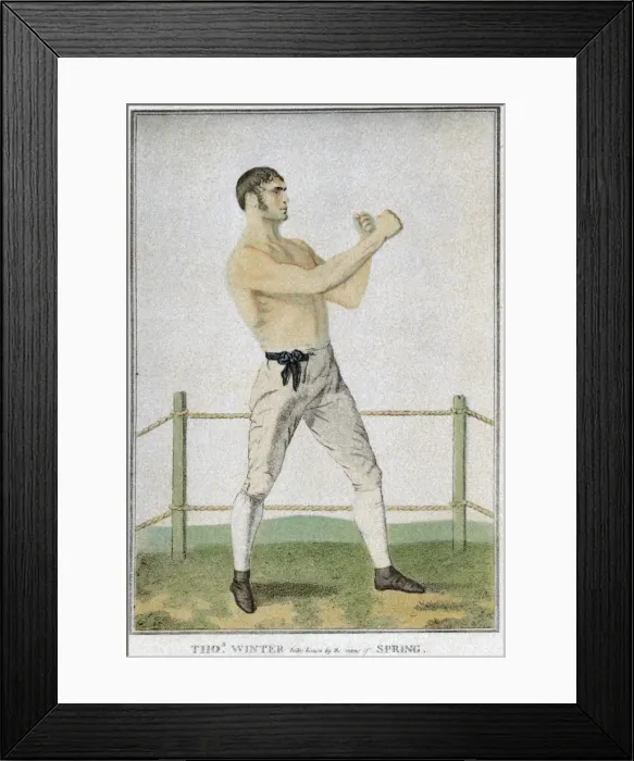 Framed Print : Thomas Winter, Boxer Framed Print : Thomas Winter, Boxer