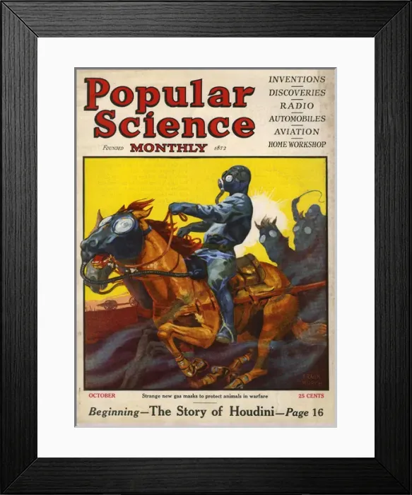 Framed Print : Gas Masks for Horses Framed Print : Gas Masks for Horses