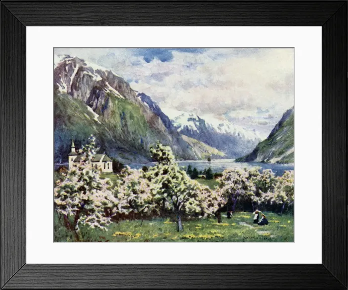 Framed Print : Norway / Hardangerfjord Framed Print : Norway / Hardangerfjord