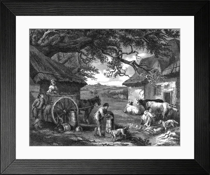 Framed Print : Milking Time Framed Print : Milking Time
