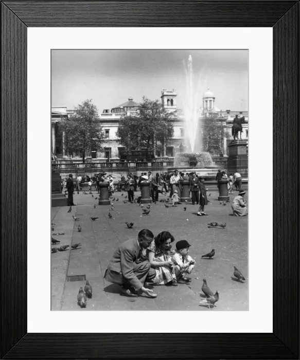 Framed Print : Pigeons Trafalgar 1950 Framed Print : Pigeons Trafalgar 1950