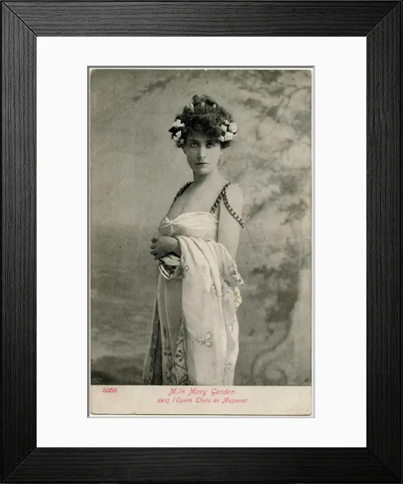 Framed Print : Mary Garden Framed Print : Mary Garden