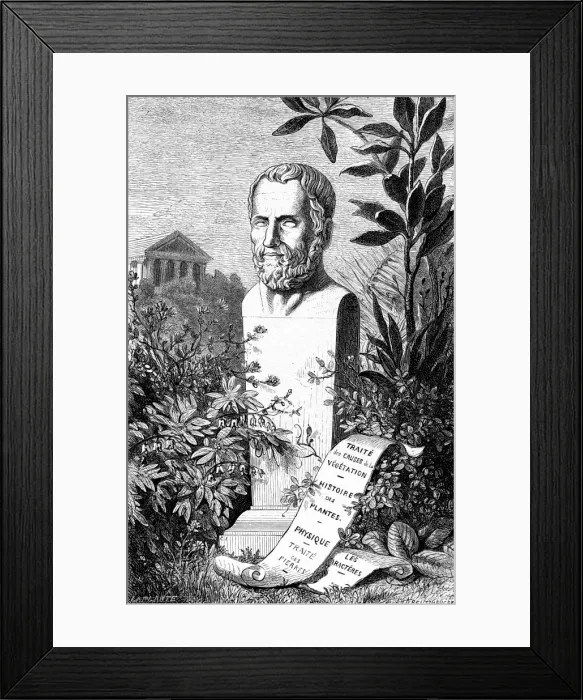 Framed Print : Therophrastus bust Framed Print : Therophrastus bust