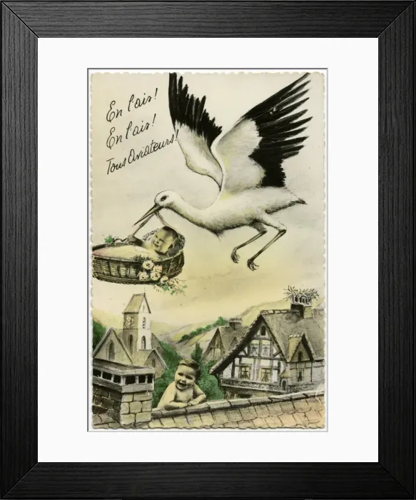 Framed Print : Stork : Get it Up Framed Print : Stork : Get it Up
