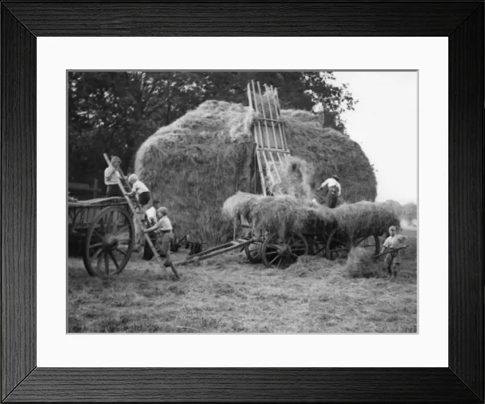 Framed Print : Evacuees on a Farm Framed Print : Evacuees on a Farm