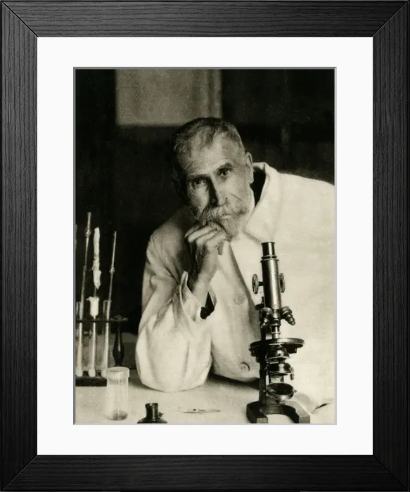 Framed Print : Roux, Photo Framed Print : Roux, Photo